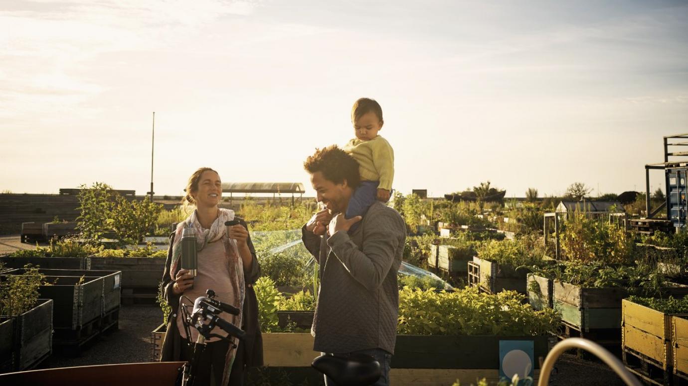 Two adults and a child in a sunny vegetable patch