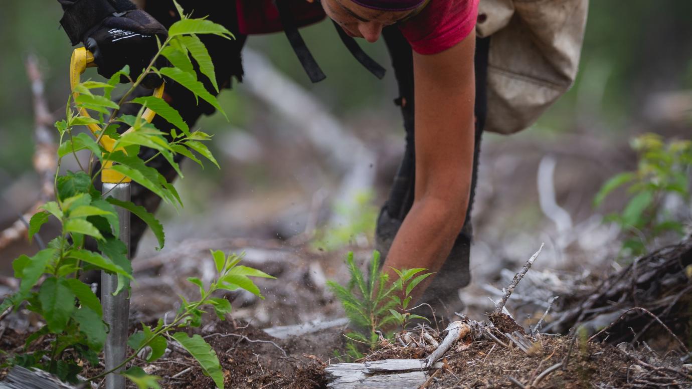 Close up of a man working in the soil with a spade nearby